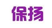上海保揚財務咨詢有限公司