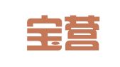 上海寶營財務(wù)咨詢有限公司